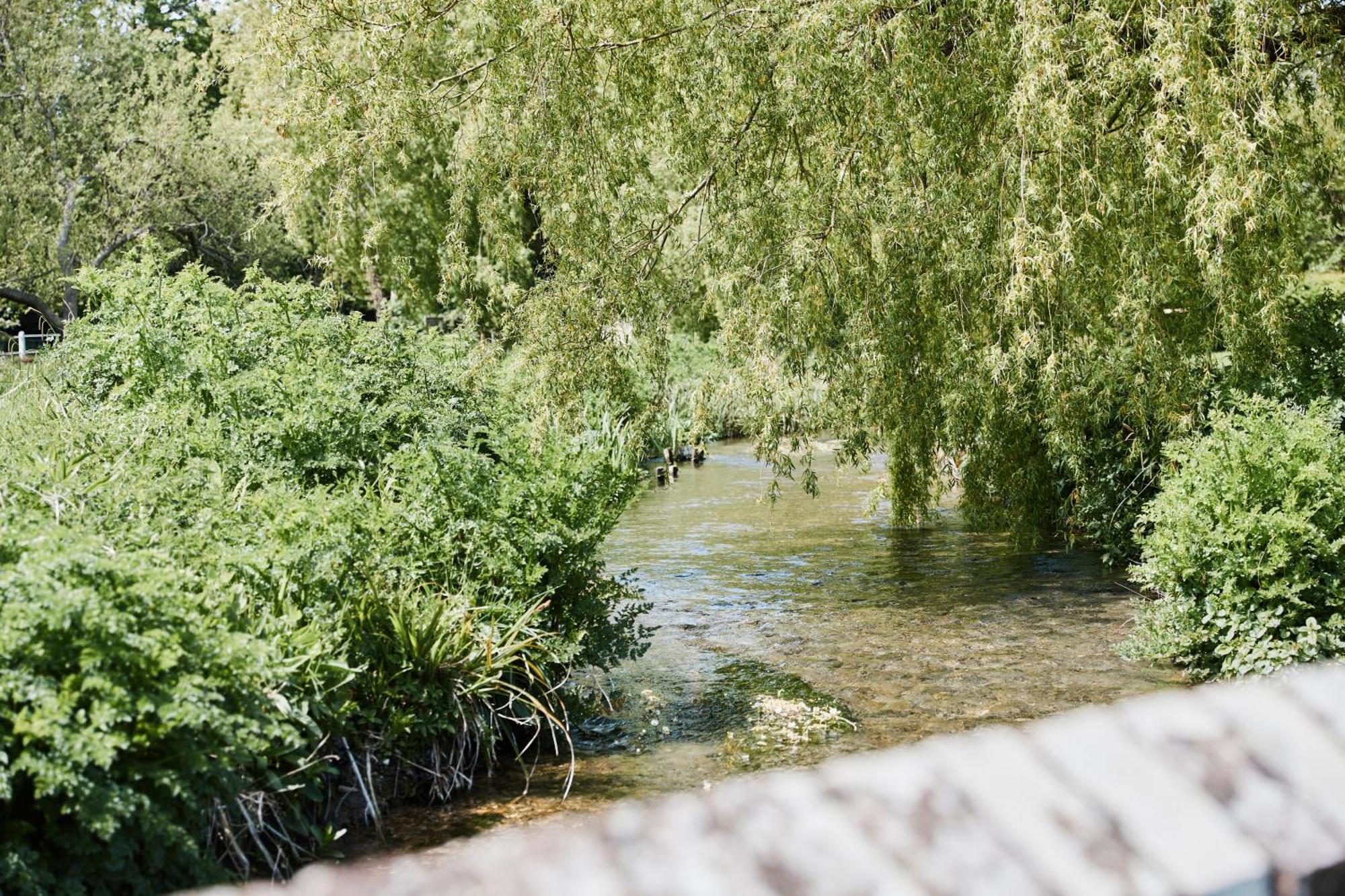 Bed and Breakfast The Bucks Head Carhampton Exteriér fotografie